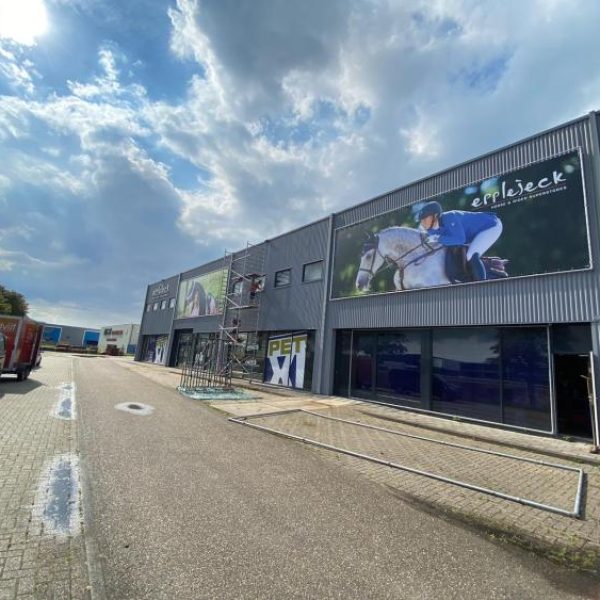 WhatsApp-Image-2020-08-18-at-17.15.07